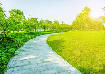 http://m.linfengtuliao.cn