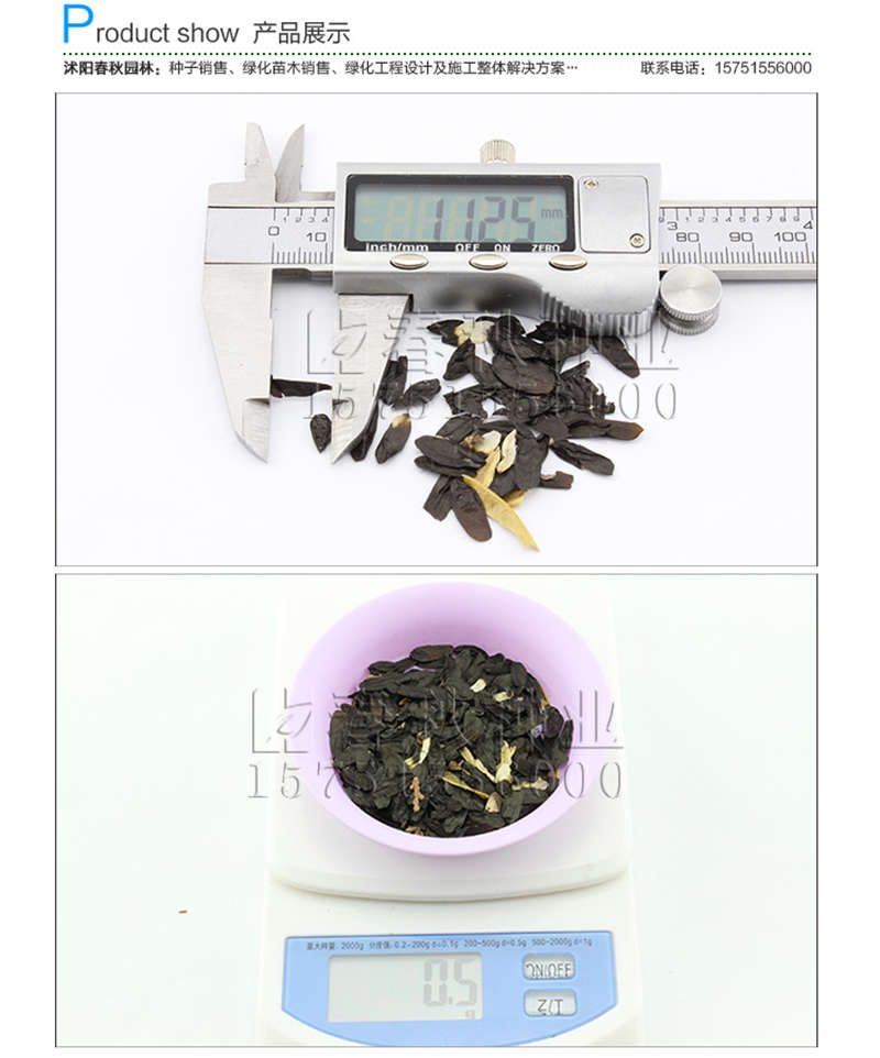 玉簪種子銷售參考價(jià)格